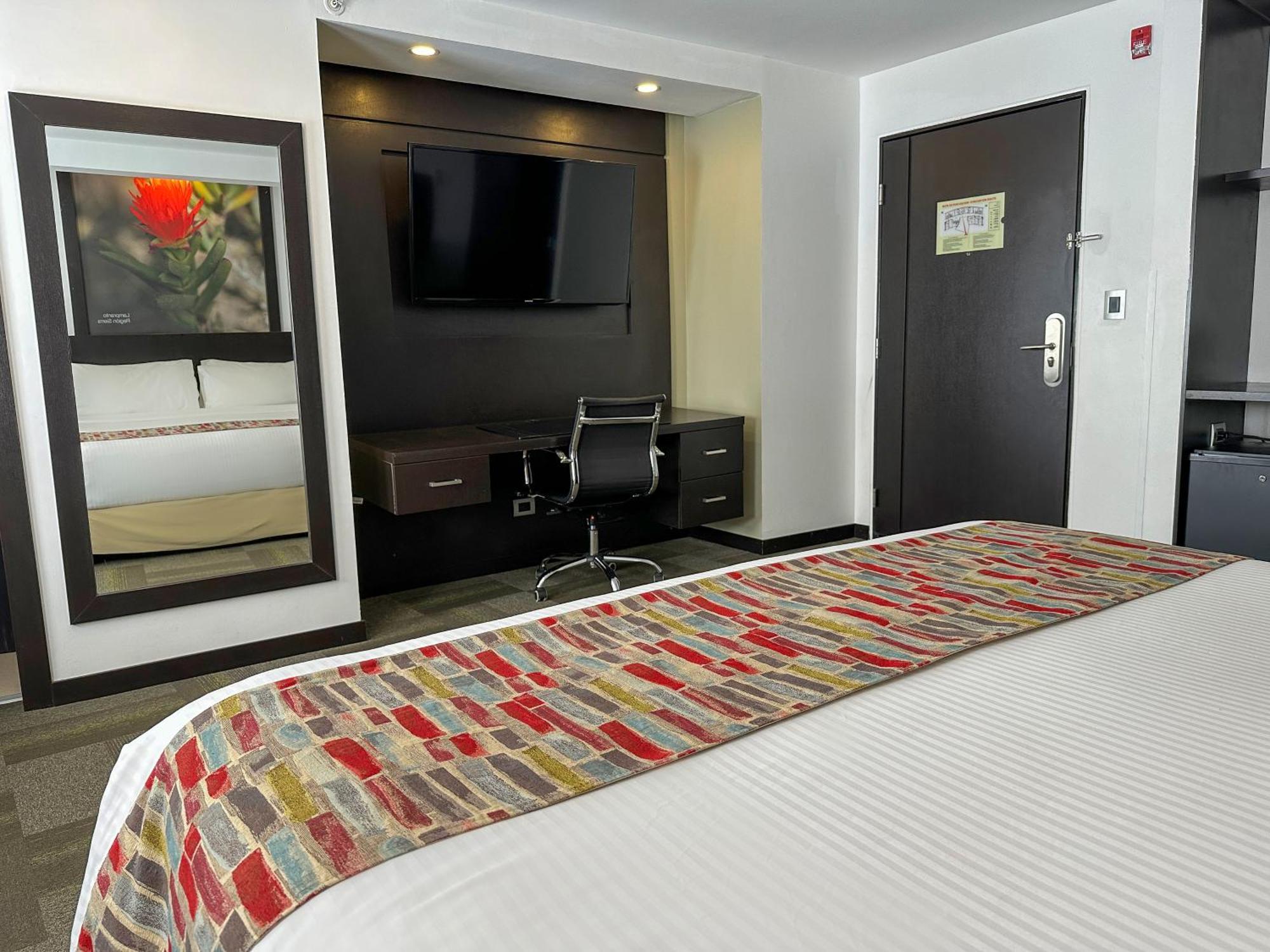 Wyndham Quito Airport Hotel Puembo Luaran gambar A typical room at the hotel